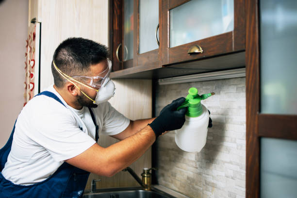 Best Insect Control  in Lakefield, MN