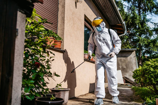 Best Residential Pest Control  in Lakefield, MN