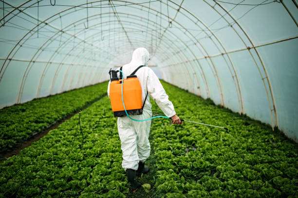 Pest Prevention Services in Lakefield, MN