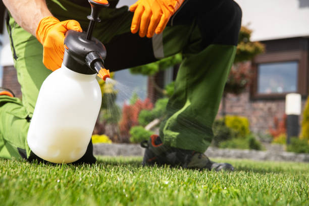 Best Emergency Pest Control  in Lakefield, MN